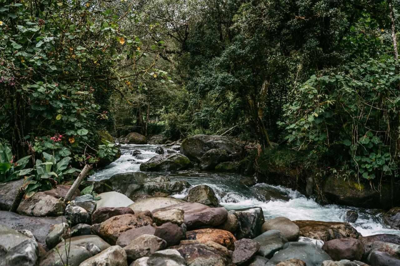Trogon Lodge San Gerardo de Dota Luaran gambar