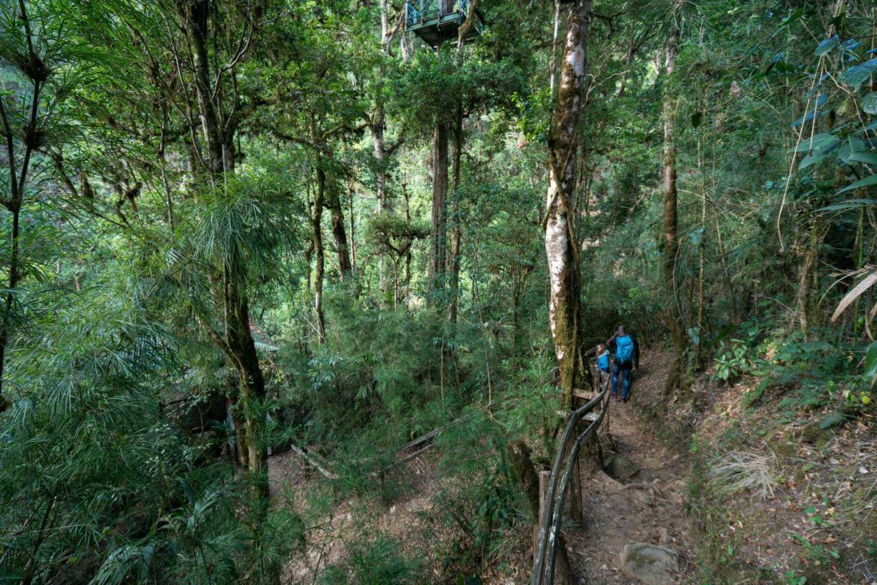 Trogon Lodge San Gerardo de Dota Luaran gambar