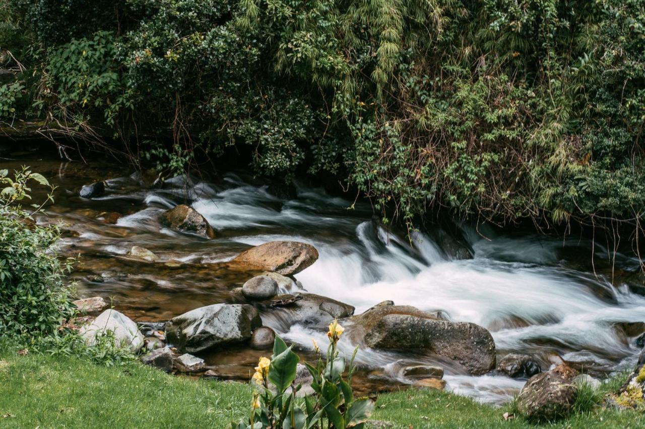 Trogon Lodge San Gerardo de Dota Luaran gambar