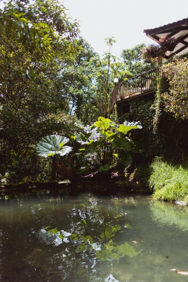 Trogon Lodge San Gerardo de Dota Luaran gambar