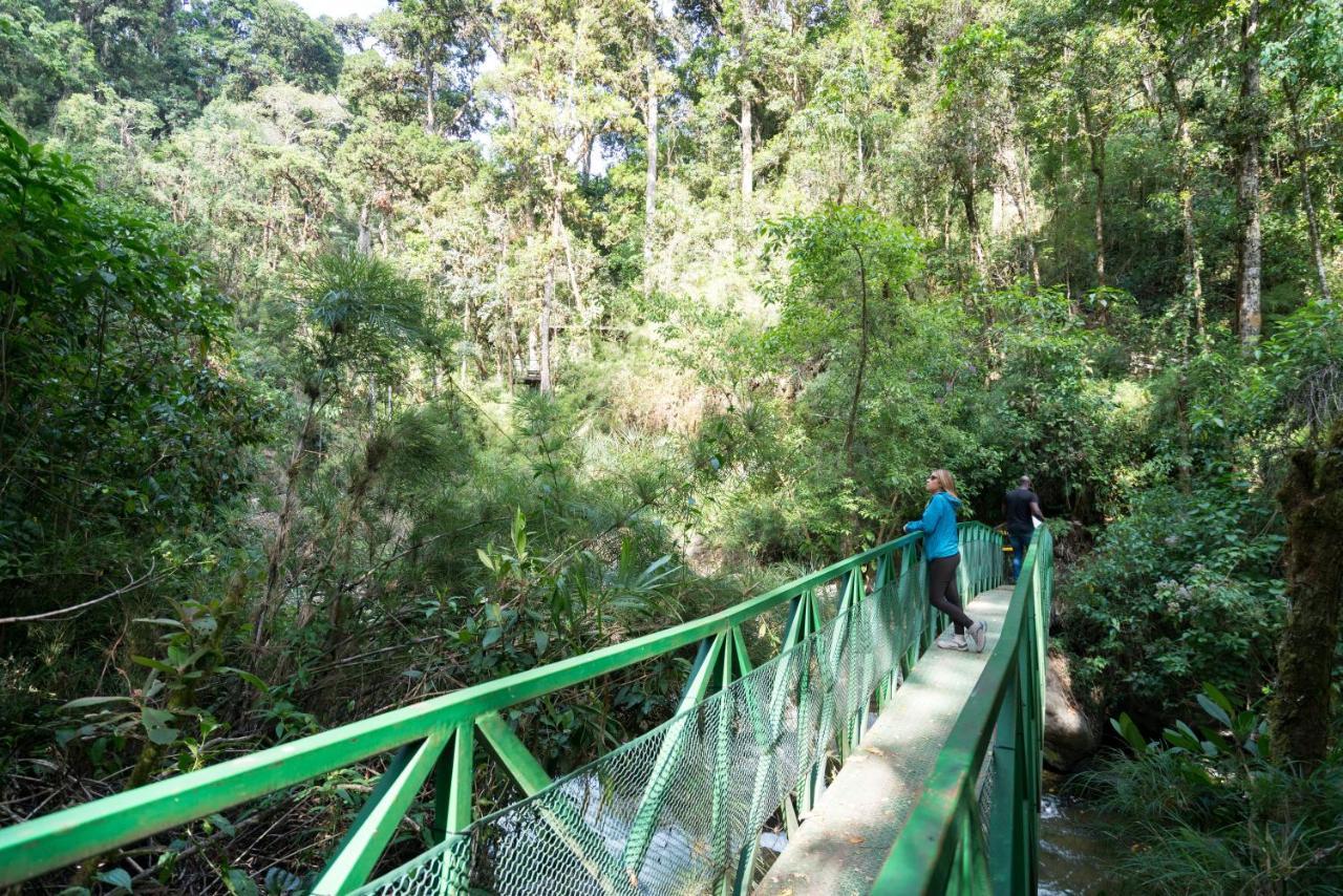 Trogon Lodge San Gerardo de Dota Luaran gambar